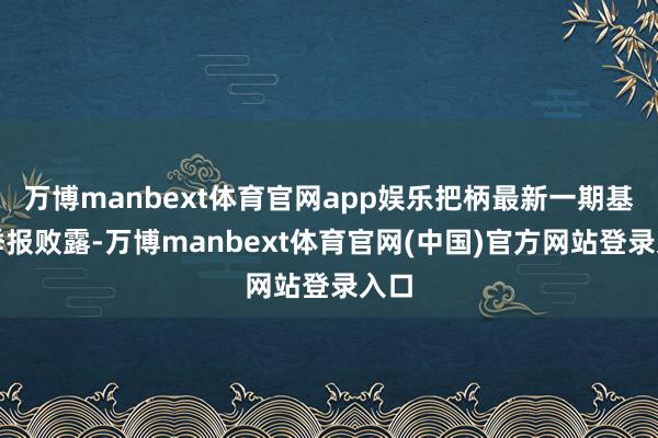 万博manbext体育官网app娱乐把柄最新一期基金季报败露-万博manbext体育官网(中国)官方网站登录入口